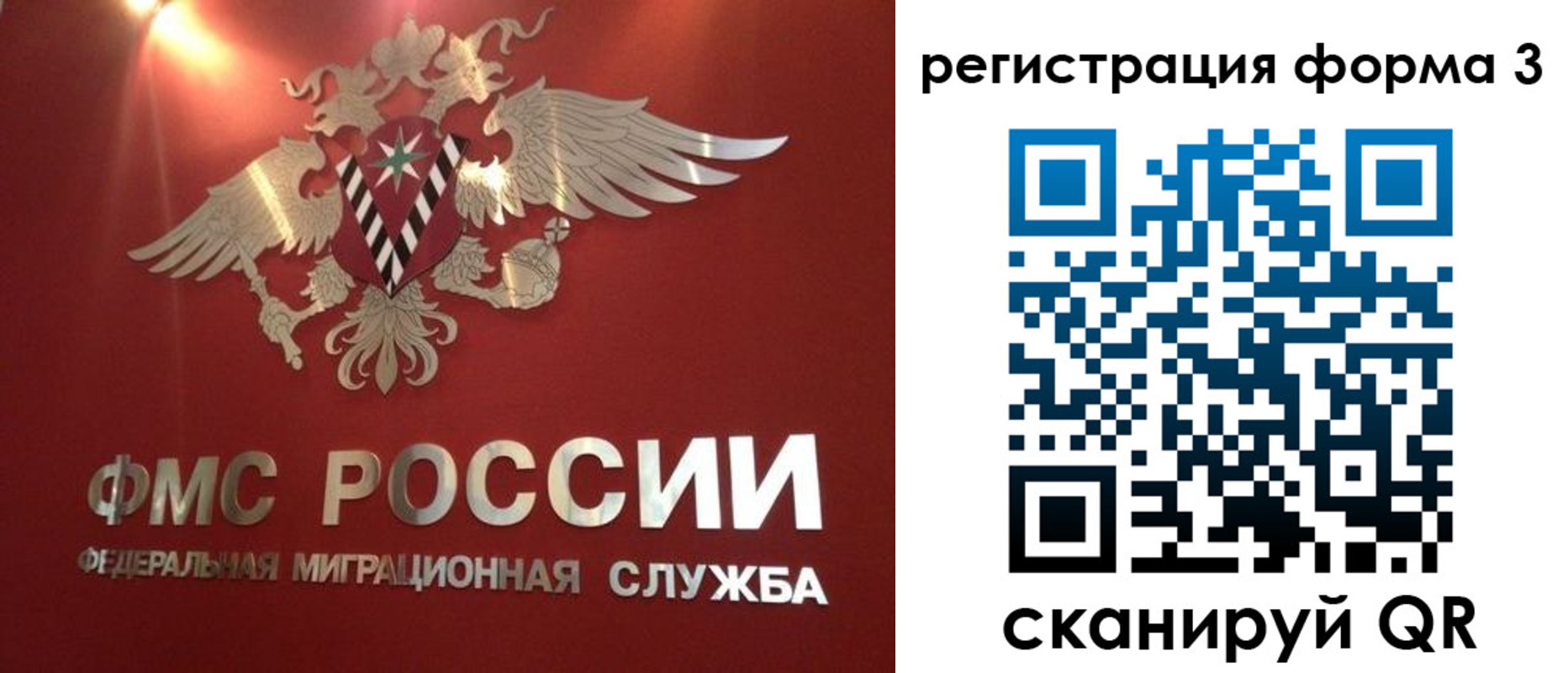 прописка гарантия в Черноголовке